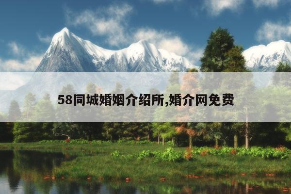 58同城婚姻介绍所,婚介网免费