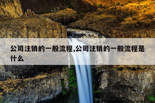 公司注销的一般流程,公司注销的一般流程是什么