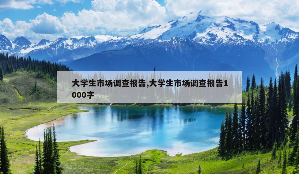大学生市场调查报告,大学生市场调查报告1000字