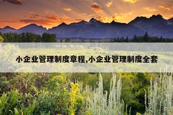 小企业管理制度章程,小企业管理制度全套