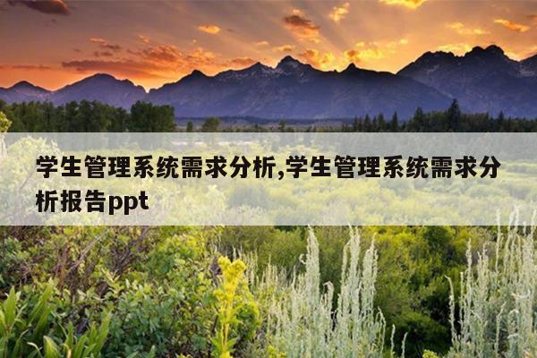 学生管理系统需求分析,学生管理系统需求分析报告ppt