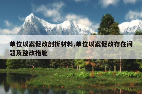 单位以案促改剖析材料,单位以案促改存在问题及整改措施