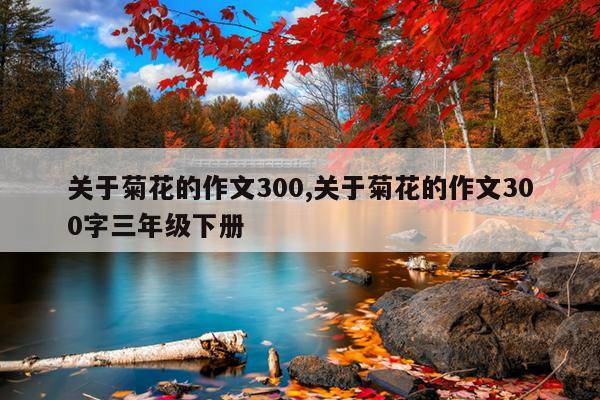 关于菊花的作文300,关于菊花的作文300字三年级下册