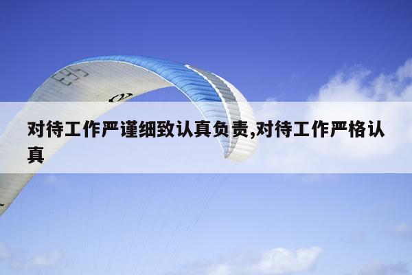 对待工作严谨细致认真负责,对待工作严格认真
