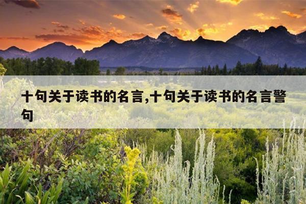 十句关于读书的名言,十句关于读书的名言警句