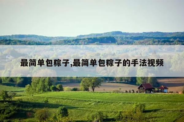 最简单包粽子,最简单包粽子的手法视频