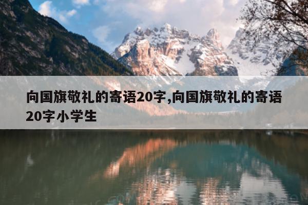 向国旗敬礼的寄语20字,向国旗敬礼的寄语20字小学生