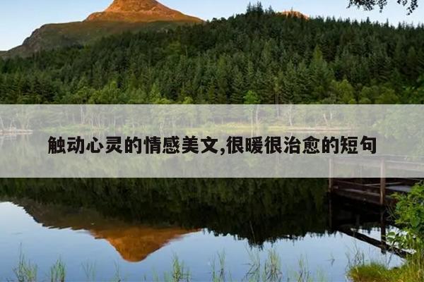 触动心灵的情感美文,很暖很治愈的短句