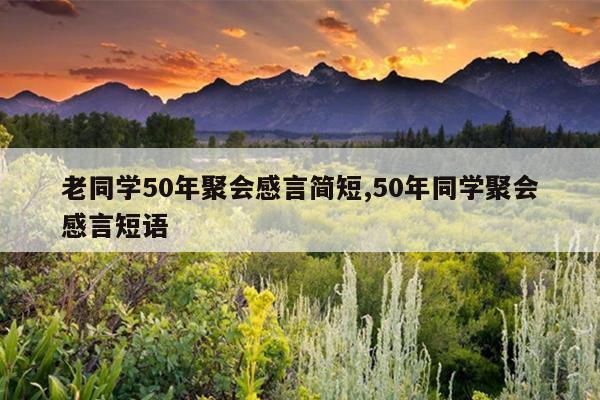 老同学50年聚会感言简短,50年同学聚会感言短语