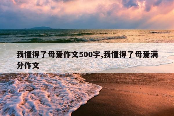 我懂得了母爱作文500字,我懂得了母爱满分作文