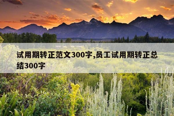 试用期转正范文300字,员工试用期转正总结300字