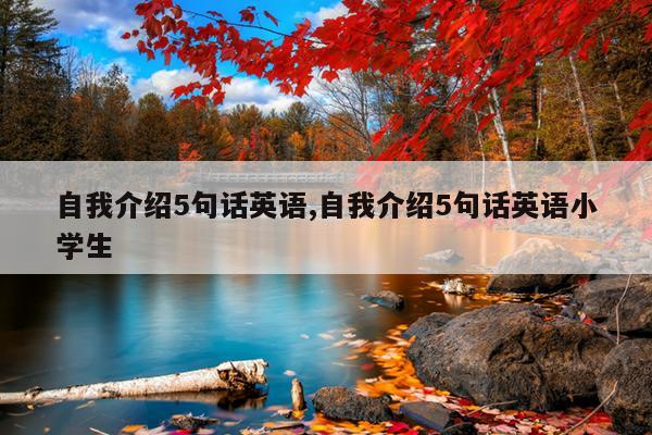 自我介绍5句话英语,自我介绍5句话英语小学生