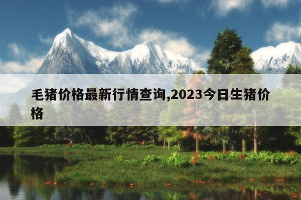 毛猪价格最新行情查询,2023今日生猪价格