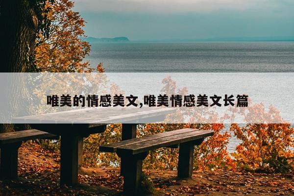 唯美的情感美文,唯美情感美文长篇