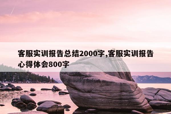 客服实训报告总结2000字,客服实训报告心得体会800字