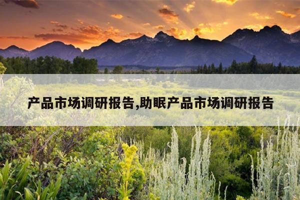 产品市场调研报告,助眠产品市场调研报告