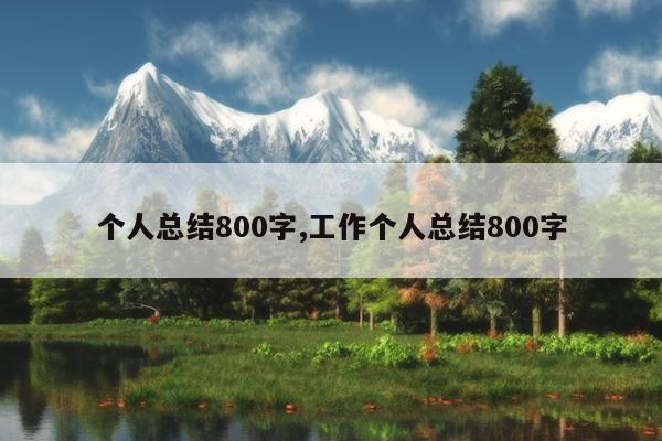 个人总结800字,工作个人总结800字
