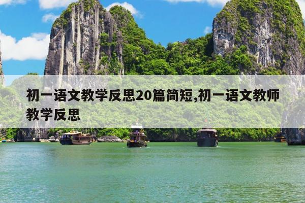 初一语文教学反思20篇简短,初一语文教师教学反思