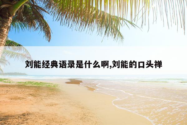刘能经典语录是什么啊,刘能的口头禅