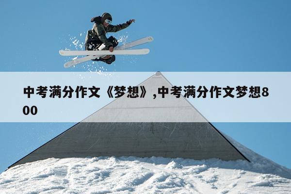 中考满分作文《梦想》,中考满分作文梦想800