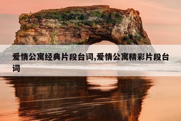 爱情公寓经典片段台词,爱情公寓精彩片段台词