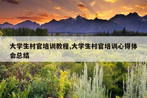 大学生村官培训教程,大学生村官培训心得体会总结