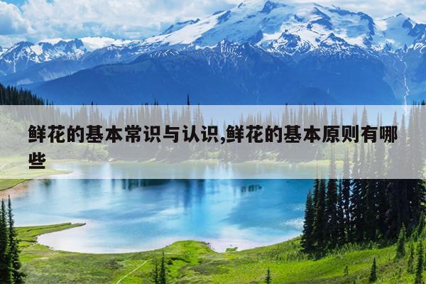 鲜花的基本常识与认识,鲜花的基本原则有哪些