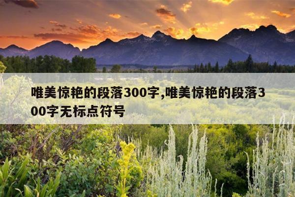唯美惊艳的段落300字,唯美惊艳的段落300字无标点符号