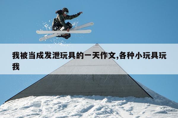 我被当成发泄玩具的一天作文,各种小玩具玩我