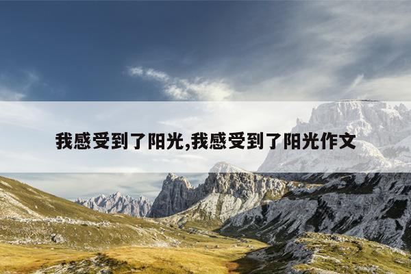 我感受到了阳光,我感受到了阳光作文