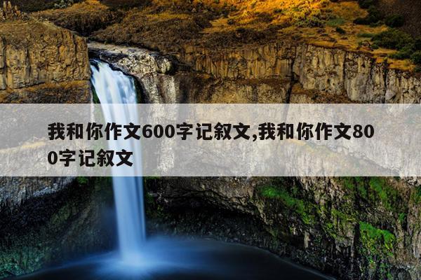 我和你作文600字记叙文,我和你作文800字记叙文