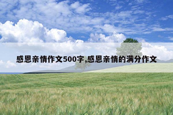 感恩亲情作文500字,感恩亲情的满分作文
