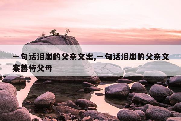 一句话泪崩的父亲文案,一句话泪崩的父亲文案善待父母