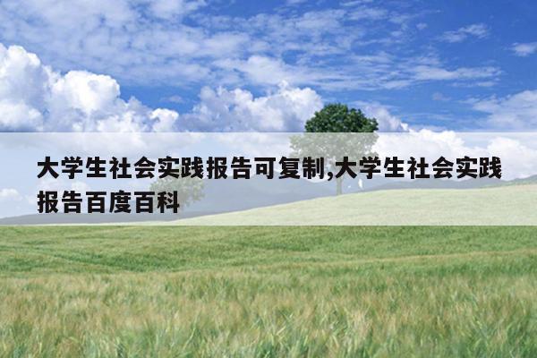 大学生社会实践报告可复制,大学生社会实践报告百度百科