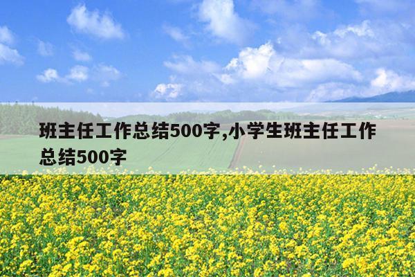 班主任工作总结500字,小学生班主任工作总结500字