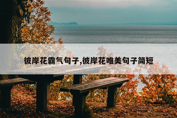 彼岸花霸气句子,彼岸花唯美句子简短