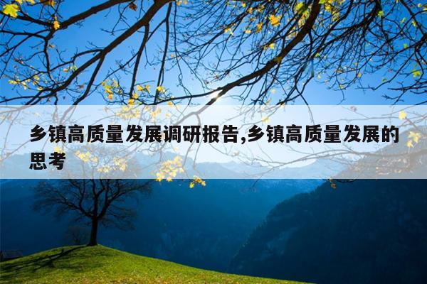 乡镇高质量发展调研报告,乡镇高质量发展的思考