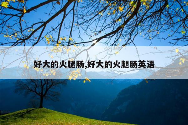 好大的火腿肠,好大的火腿肠英语