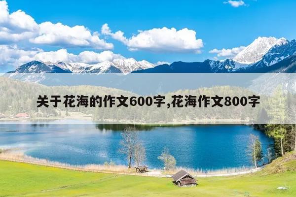 关于花海的作文600字,花海作文800字