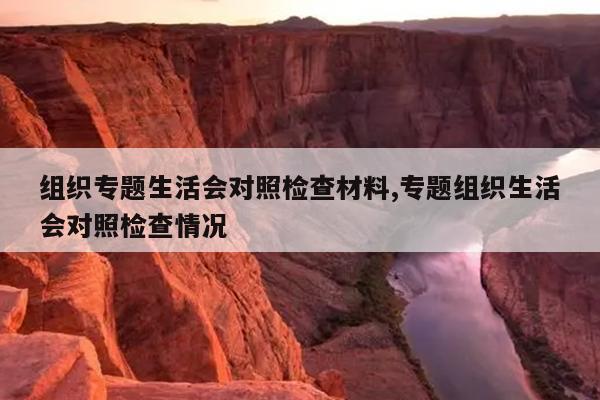 组织专题生活会对照检查材料,专题组织生活会对照检查情况