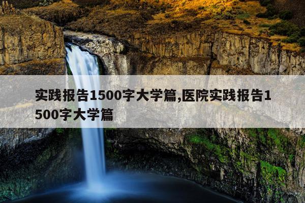 实践报告1500字大学篇,医院实践报告1500字大学篇