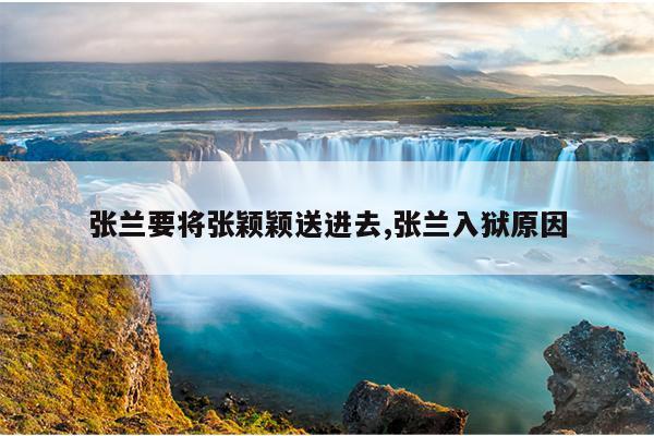 张兰要将张颖颖送进去,张兰入狱原因