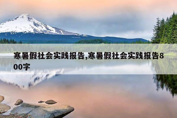 寒暑假社会实践报告,寒暑假社会实践报告800字