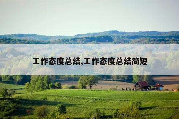 工作态度总结,工作态度总结简短