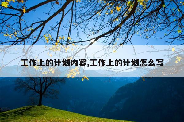 工作上的计划内容,工作上的计划怎么写
