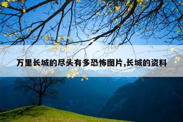 万里长城的尽头有多恐怖图片,长城的资料