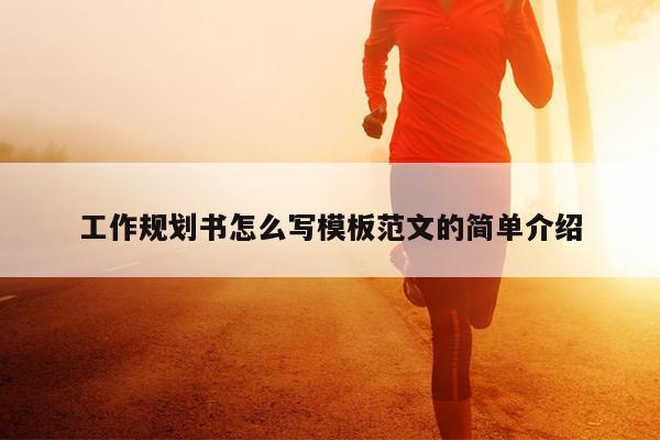 工作规划书怎么写模板范文的简单介绍