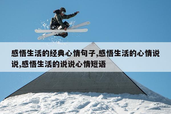 感悟生活的经典心情句子,感悟生活的心情说说,感悟生活的说说心情短语