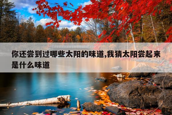 你还尝到过哪些太阳的味道,我猜太阳尝起来是什么味道