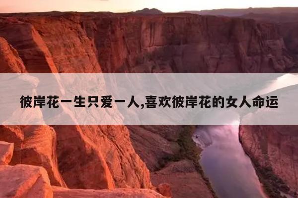 彼岸花一生只爱一人,喜欢彼岸花的女人命运